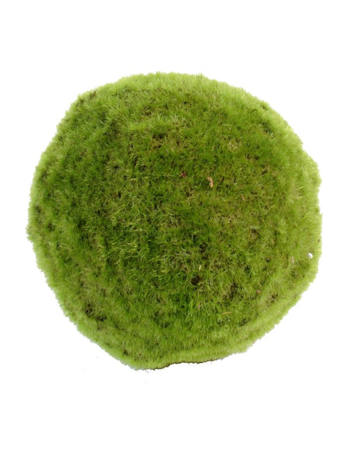 Kunstig Mos Kugle 18Cm Dekorativ Plante Grøn