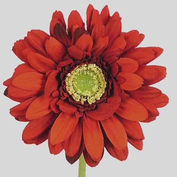 Kunstig Buket Rød Gerbera 50 Cm