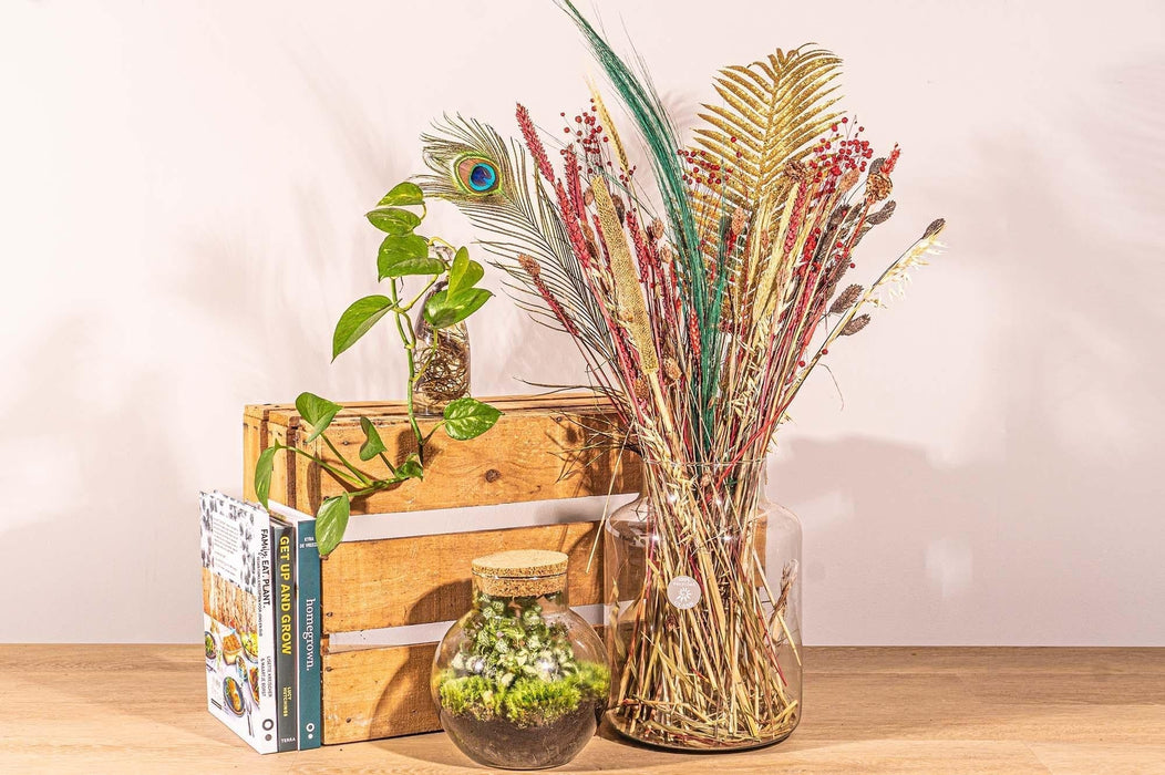 Buket Af Tørrede Gyldne Juleblomster Og Dens Vase