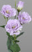 Kunstig Lisianthus Buket 50Cm Parma