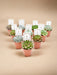 Æske - 10 Echeveria Mix