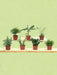 Æske - 7 Essentielle Små Stueplanter