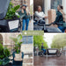 Easy Care Box X4 - Easy Care Indendørs Planter