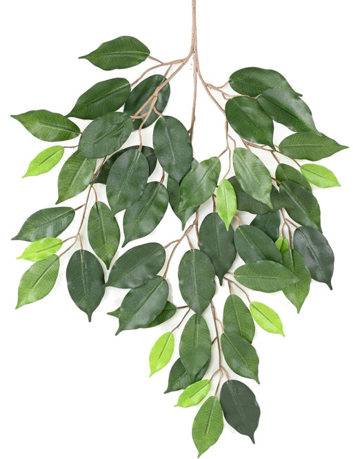 Kunstig Ficus-Gren 60 Cm Grønt Løv