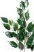 Kunstig Gren Ficus Exotica 76 Cm Grøn
