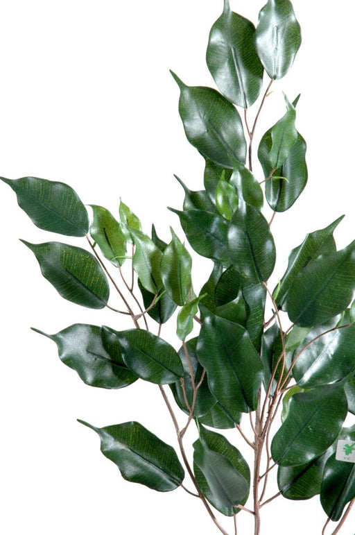 Kunstig Gren Ficus Exotica 76 Cm Grøn