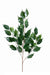 Kunstig Gren Ficus Exotica 76 Cm Grøn