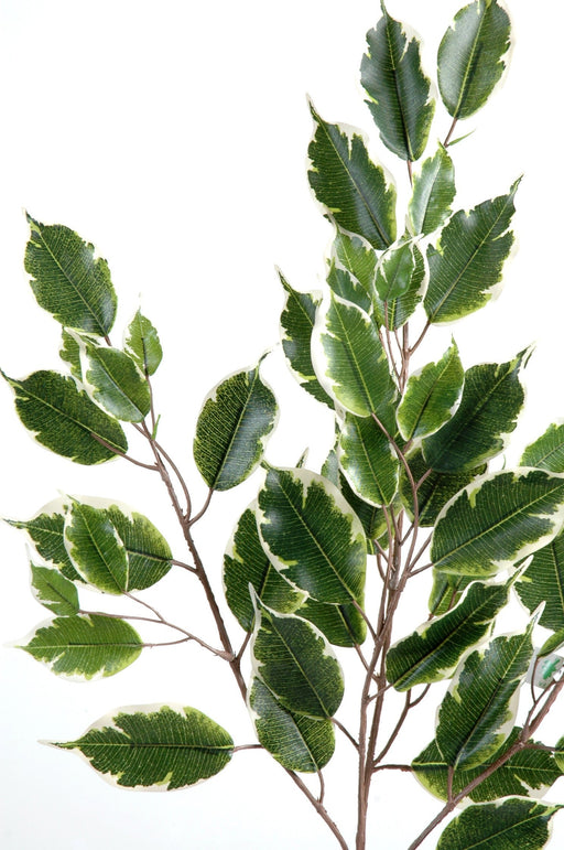 Kunstig Gren Ficus Exotica 76Cm Grøn Hvid