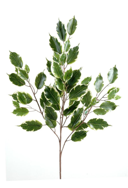 Kunstig Gren Ficus Exotica 76Cm Grøn Hvid