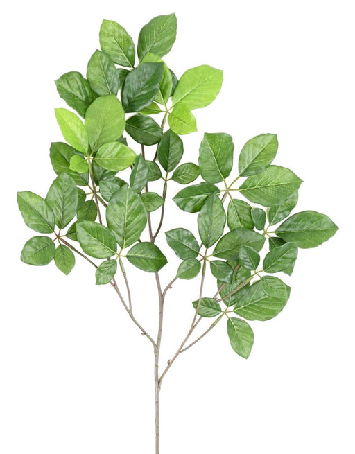 Kunstig Bøg Grandifolia Gren 65 Cm Grøn