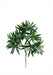 Kunstig Podocarpus Gren 35 Cm Interiør Dekoration