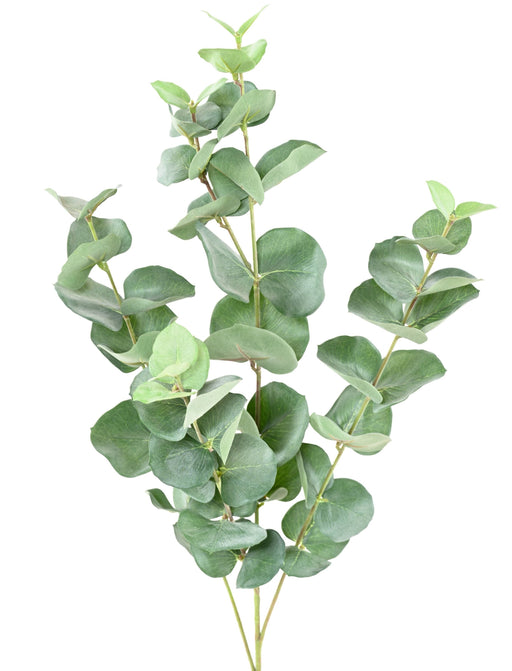 Kunstig Eucalyptus Branch Gunnii 70Cm Grøn