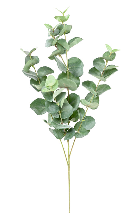 Kunstig Eucalyptus Branch Gunnii 70Cm Grøn