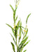 Kunstig Mimosa Gren Gul 90Cm