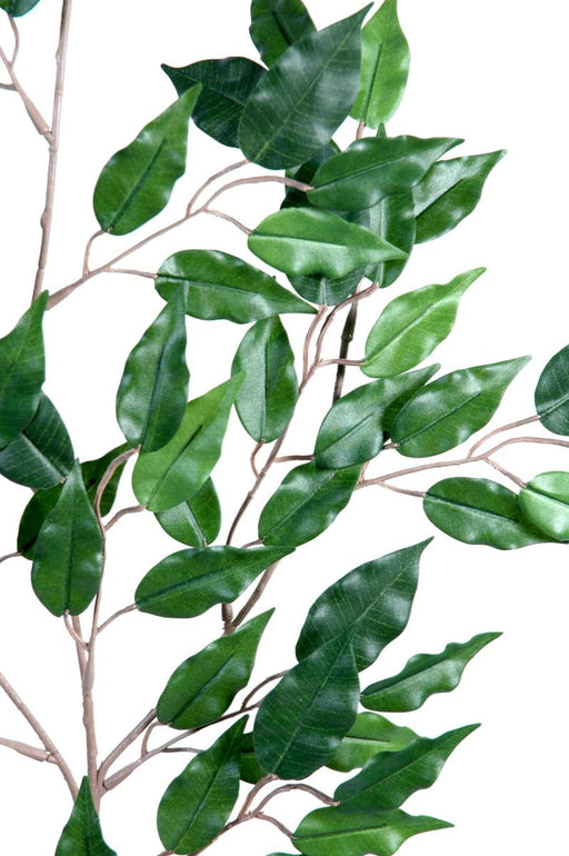 Kunstig Ficus Gren H.65Cm Til Dekoration