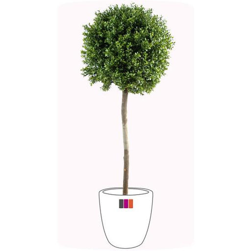 Kunstig Buksbom Stammekugle 170 Cm Til Udendørs