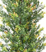 Kunstig Buksbom Topiary Til Have 165Cm Grøn