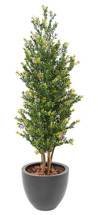 Kunstig Buksbom Topiary Til Have 165Cm Grøn