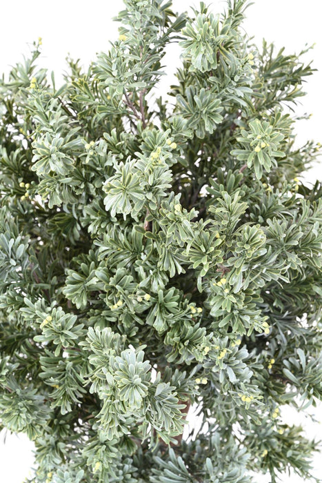 Kunstig Crossostephium Bush 100Cm UV Resistent