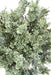 Kunstig Crossostephium Bush 100Cm UV Resistent
