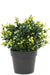 Gul Buxus I Potte - Kunstig Buksbom