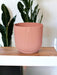 Elho Pink Plantepotte - D22 X H20