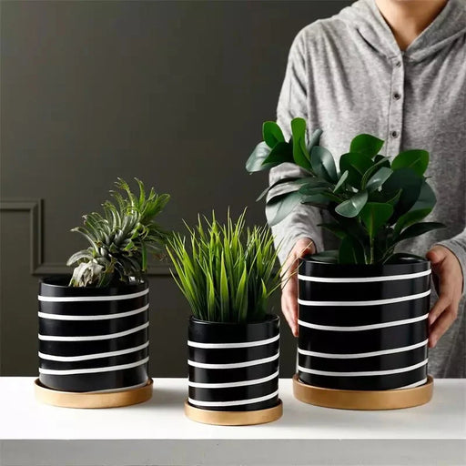 Zibra Sort Og Hvid Plantepotte