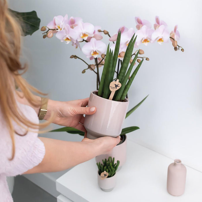 Pink Plantepotte - Ø12Cm