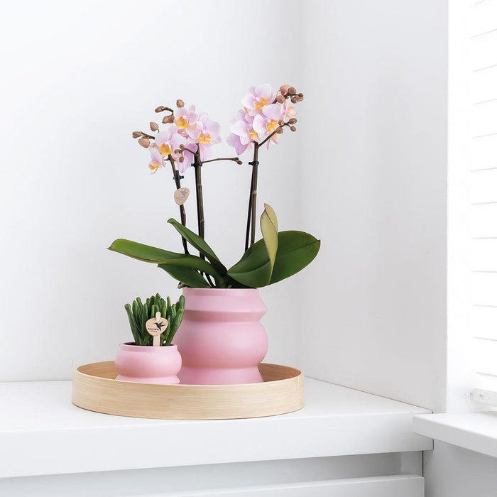 Pink Plantepotte - Ø9Cm