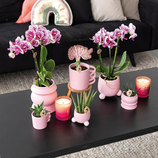 Pink Plantepotte - Ø9Cm