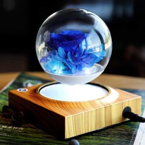 Magnetisk Levitation Glaskugleholder