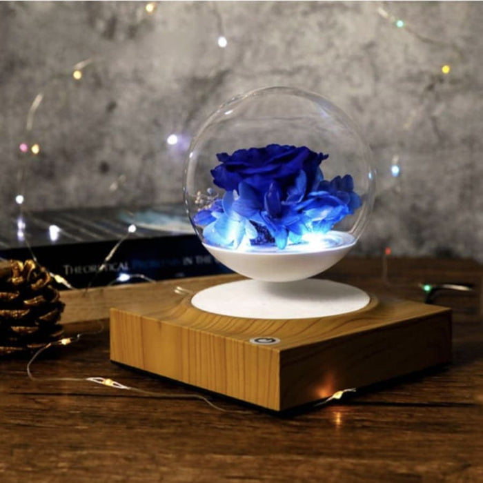 Magnetisk Levitation Glaskugleholder