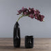 Sort Påskeø-Hovedsøjleplanter