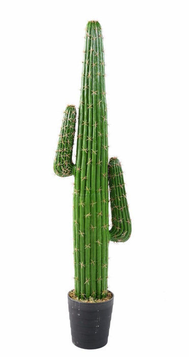 Kunstig Kaktus 145 Cm Til Indretning