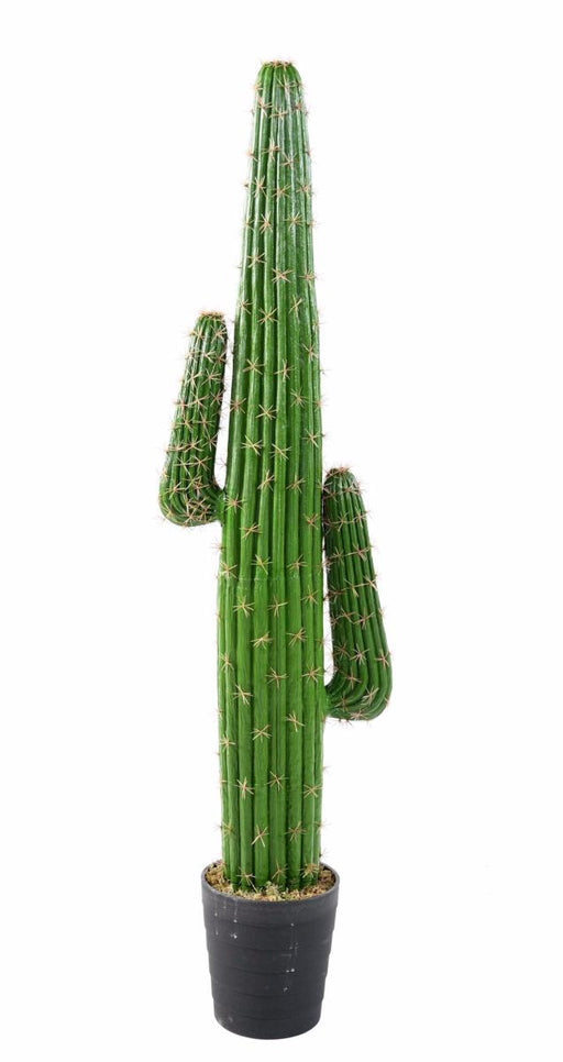 Kunstig Kaktus 145 Cm Til Indretning
