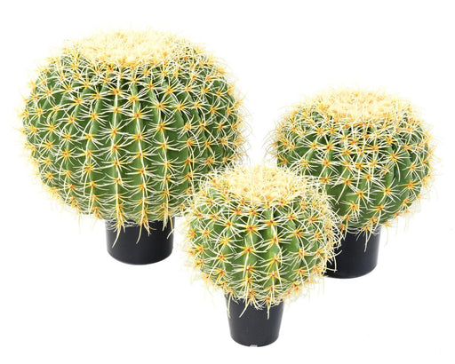 Kunstig Kaktus 35 Cm Grøn Indendørs Plante
