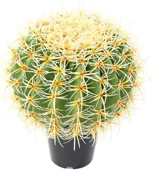Kunstig Kaktus 35 Cm Grøn Indendørs Plante