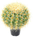 Kunstig Kaktus 35 Cm Grøn Indendørs Plante