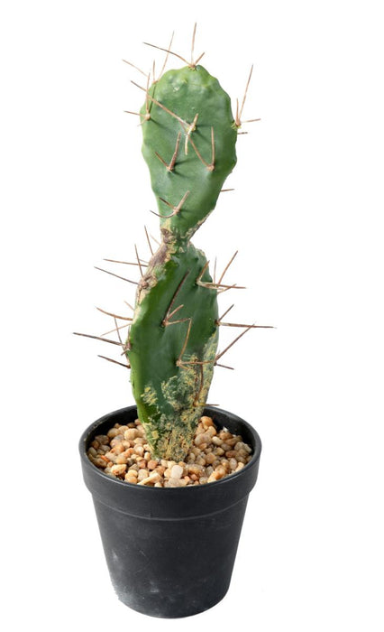 Flad Kunstig Kaktus 34 Cm Til Indretning