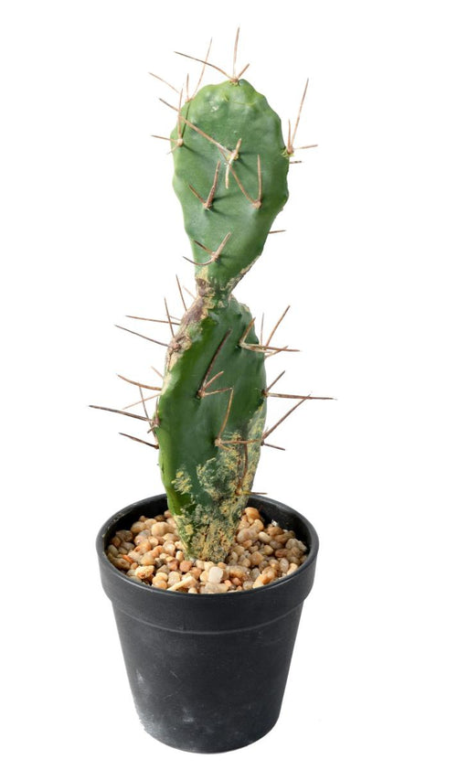 Flad Kunstig Kaktus 34 Cm Til Indretning
