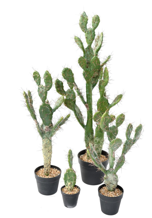 Flad Kunstig Kaktus 58 Cm Til Indretning
