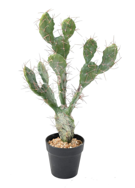 Flad Kunstig Kaktus 58 Cm Til Indretning