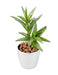 Kunstig Sukkulent Cactus Mini H.18Cm Til Dekoration