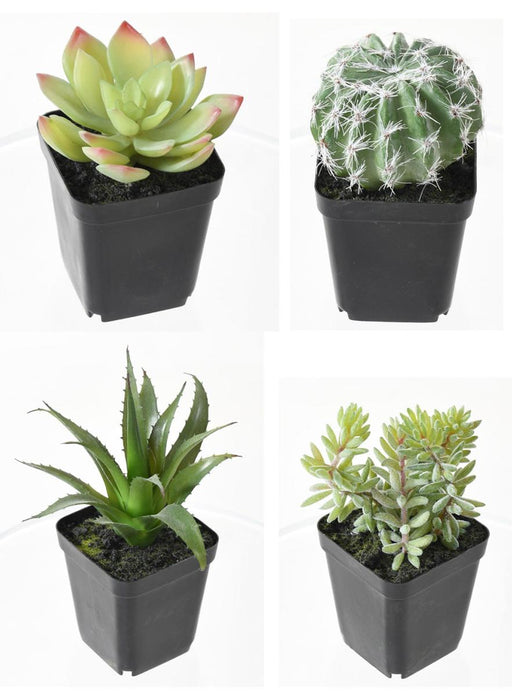 Kunstige Kaktusser I Potte - Sæt Med 4 Planter