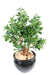 Kunstig Crassula Cactus H.65 Cm Grøn Potte
