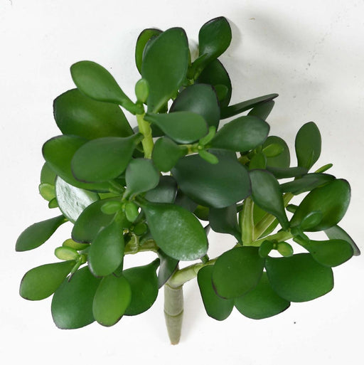 Kunstig Crassula Jade-Kaktus På Spil 38 Cm