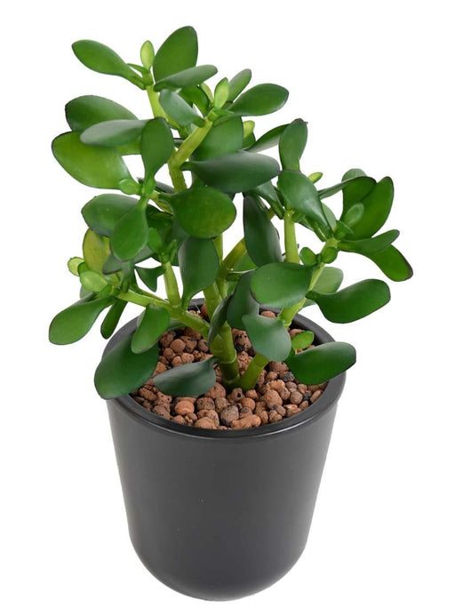 Kunstig Crassula Jade-Kaktus På Spil 38 Cm