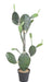 Kunstig Opuntia Cactus Til Indendørs 120Cm Grøn