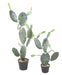 Kunstig Opuntia Cactus Til Indendørs 120Cm Grøn