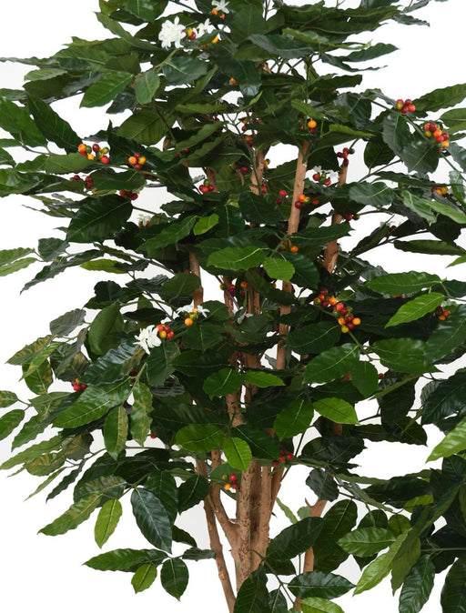 Kunstigt Kaffetræ Med Blomster Og Knudret Stamme 175 Cm